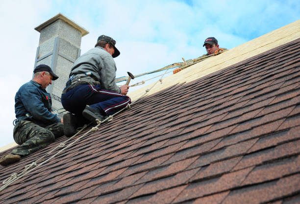 Best Roof Restoration Services  in Hallettsville, TX